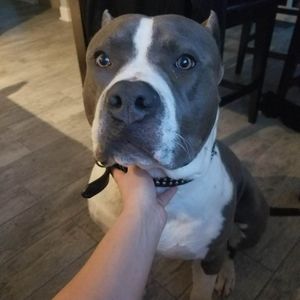 Meet your Posher, Cole